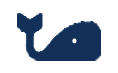 Animal and Wildlife